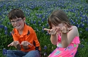 Kids_Bluebonnets2013 (184)